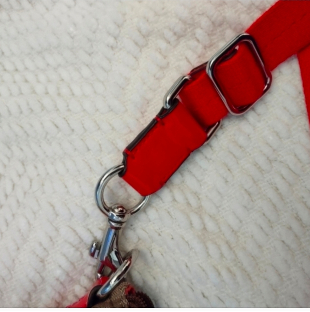 Coach Crossbody - Picture 3 of 10